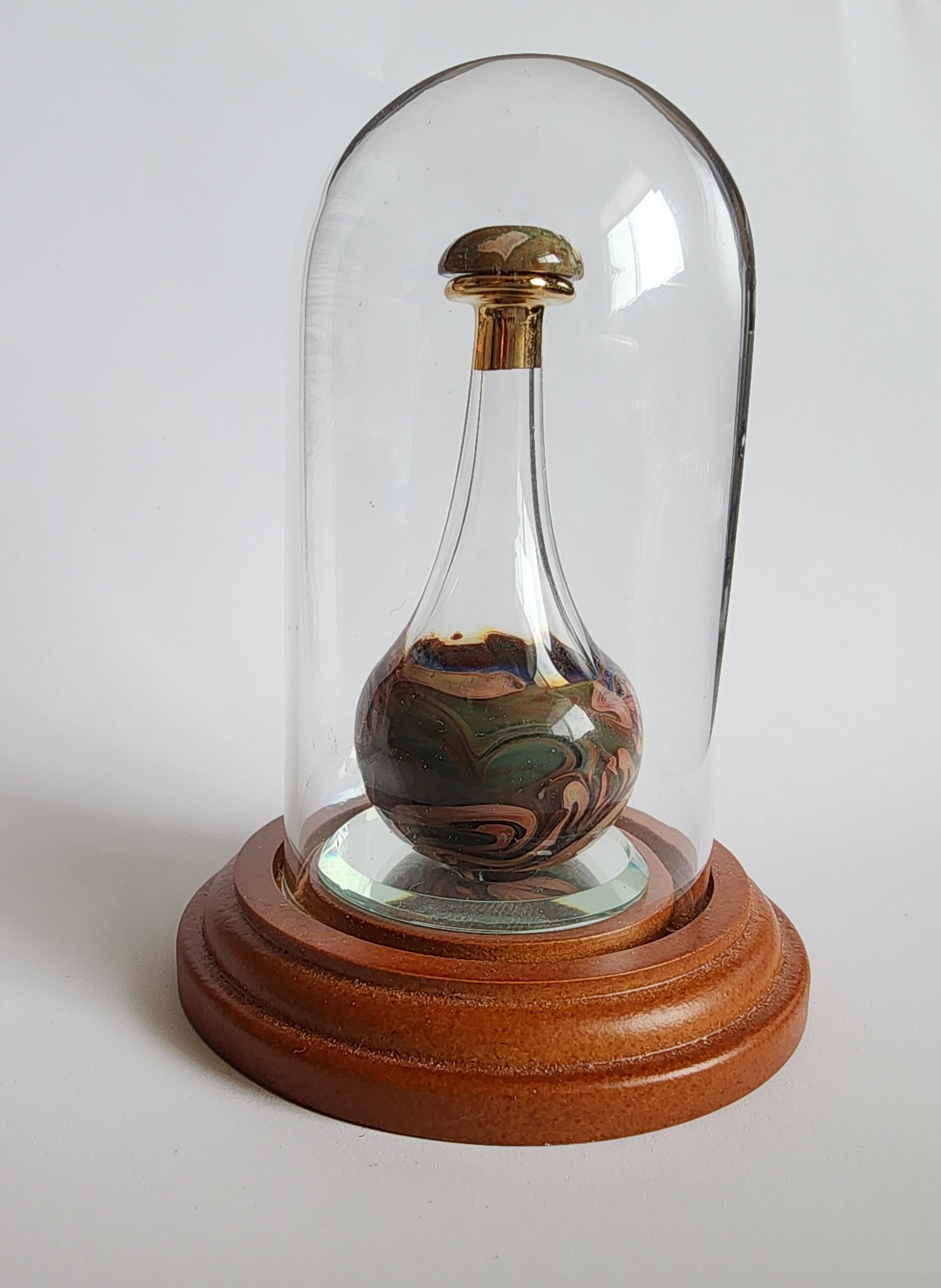 Orange Olive in Dome